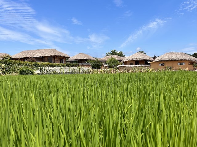 Sfeerafbeelding andong-hanok-folkvillage