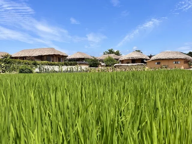 Sfeerafbeelding andong-hanok-folkvillage