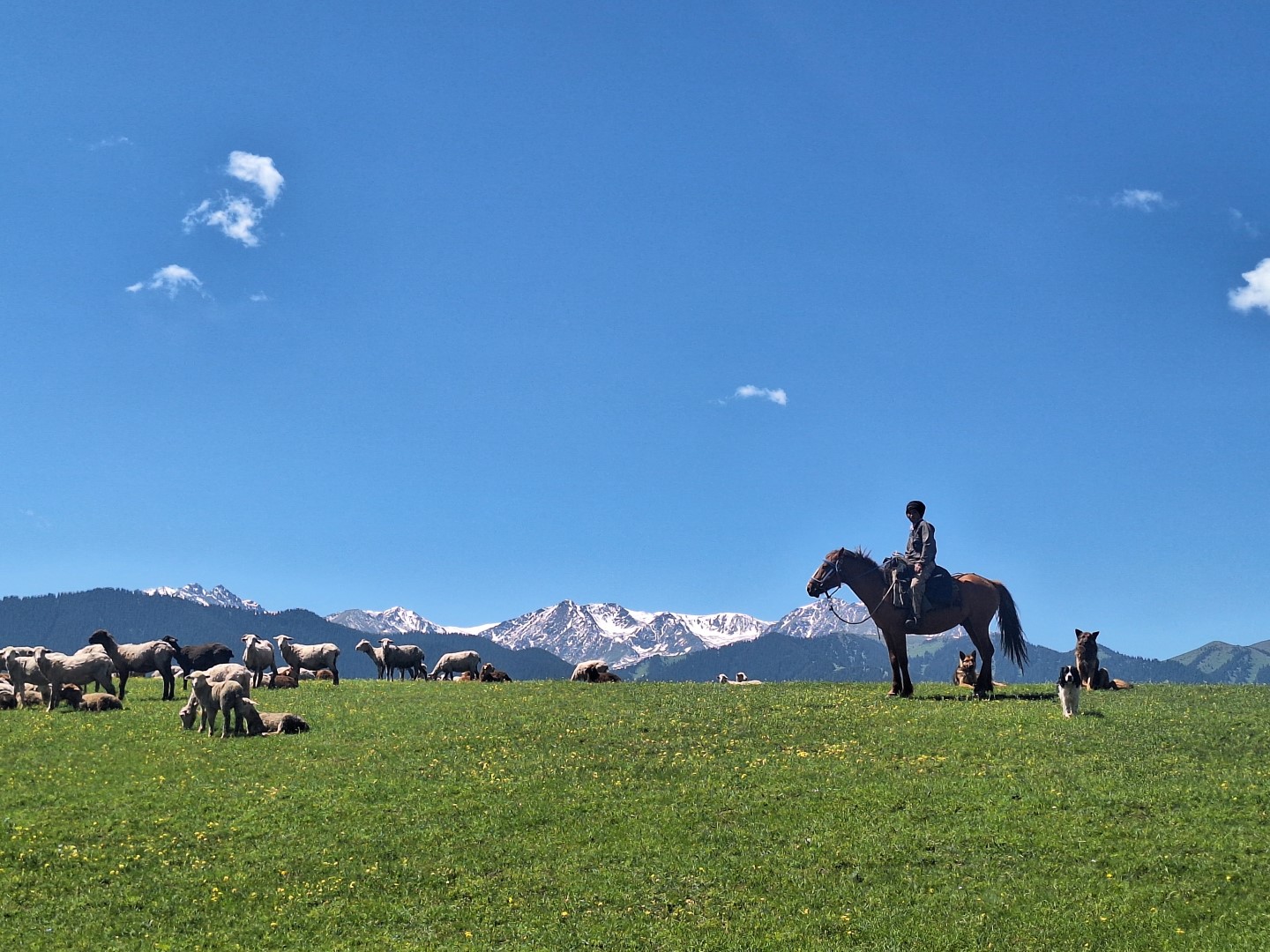 Sfeerafbeelding Kazachstan-Reis