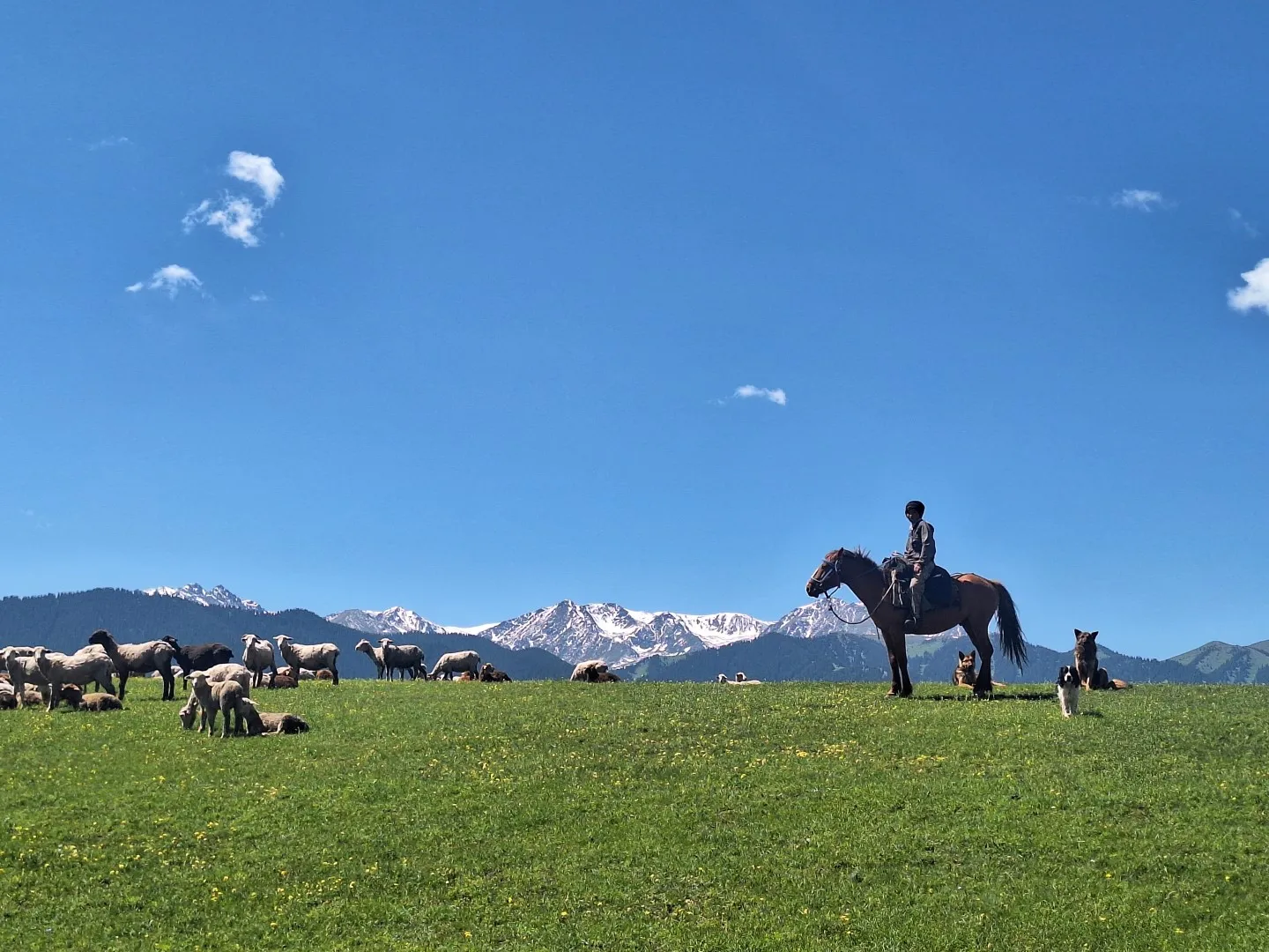 Sfeerafbeelding Kazachstan-Reis
