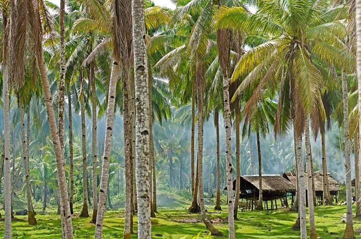 Sfeerafbeelding Siargao-rondreis-prive