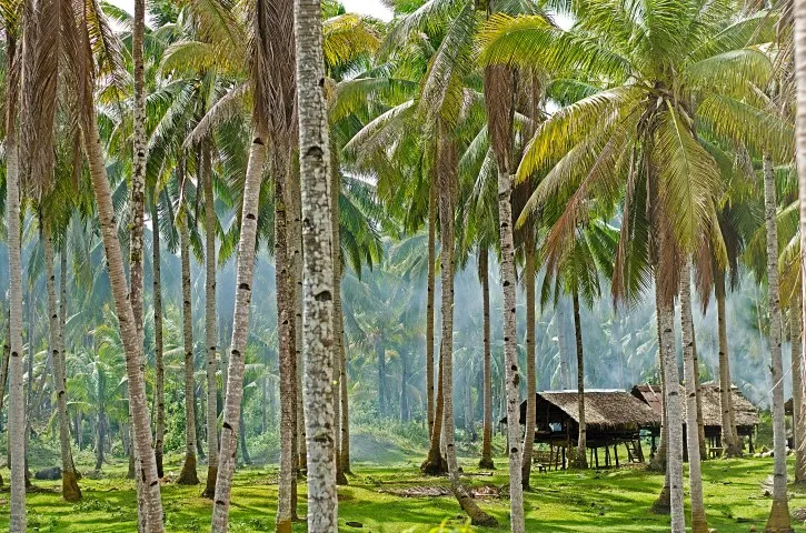 Sfeerafbeelding Siargao-rondreis-prive