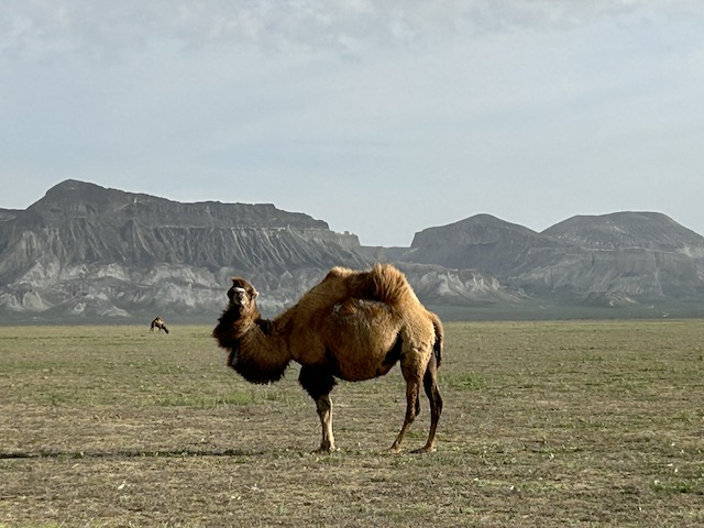 Sfeerafbeelding Kazachstan%20Totaal%20Reis