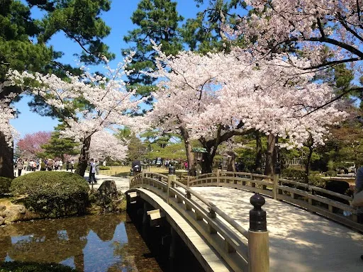 Sfeerafbeelding image001%20%281%29