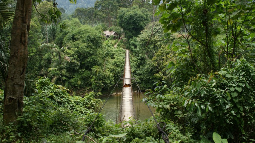 Sfeerafbeelding sumatra-maleisie-dimsum