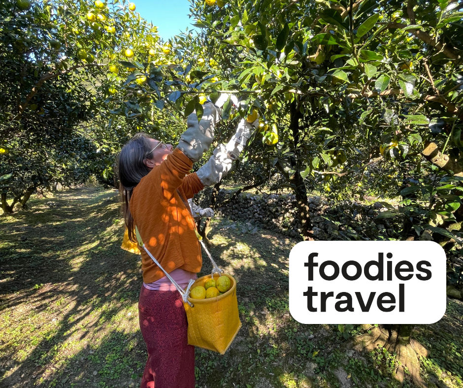 Sfeerafbeelding yuzu-plukken-kochi-foodies-travel