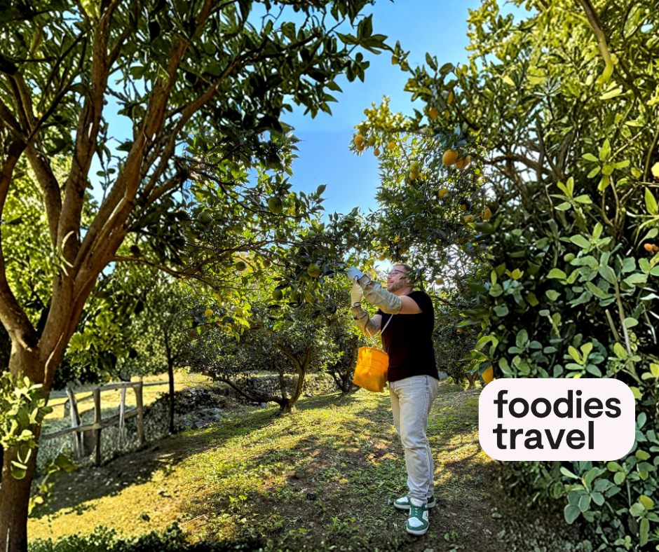 Sfeerafbeelding reis-japan-foodies-tavel