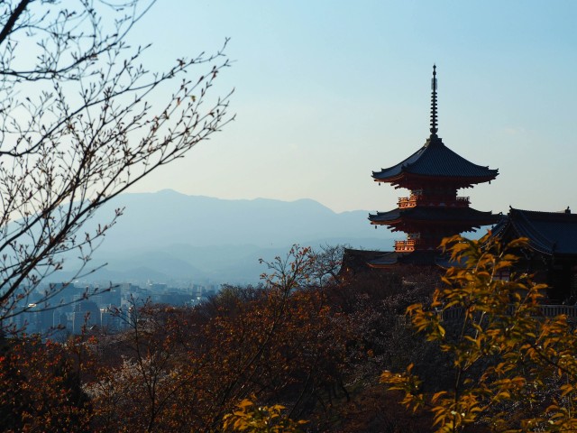 Sfeerafbeelding rondreis-japan-2weken