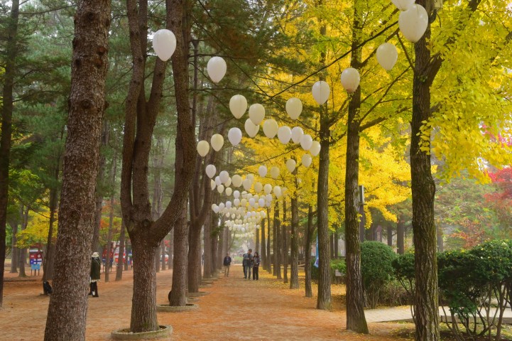 Sfeerafbeelding gezinsreis-korea-met-familie-kinderen