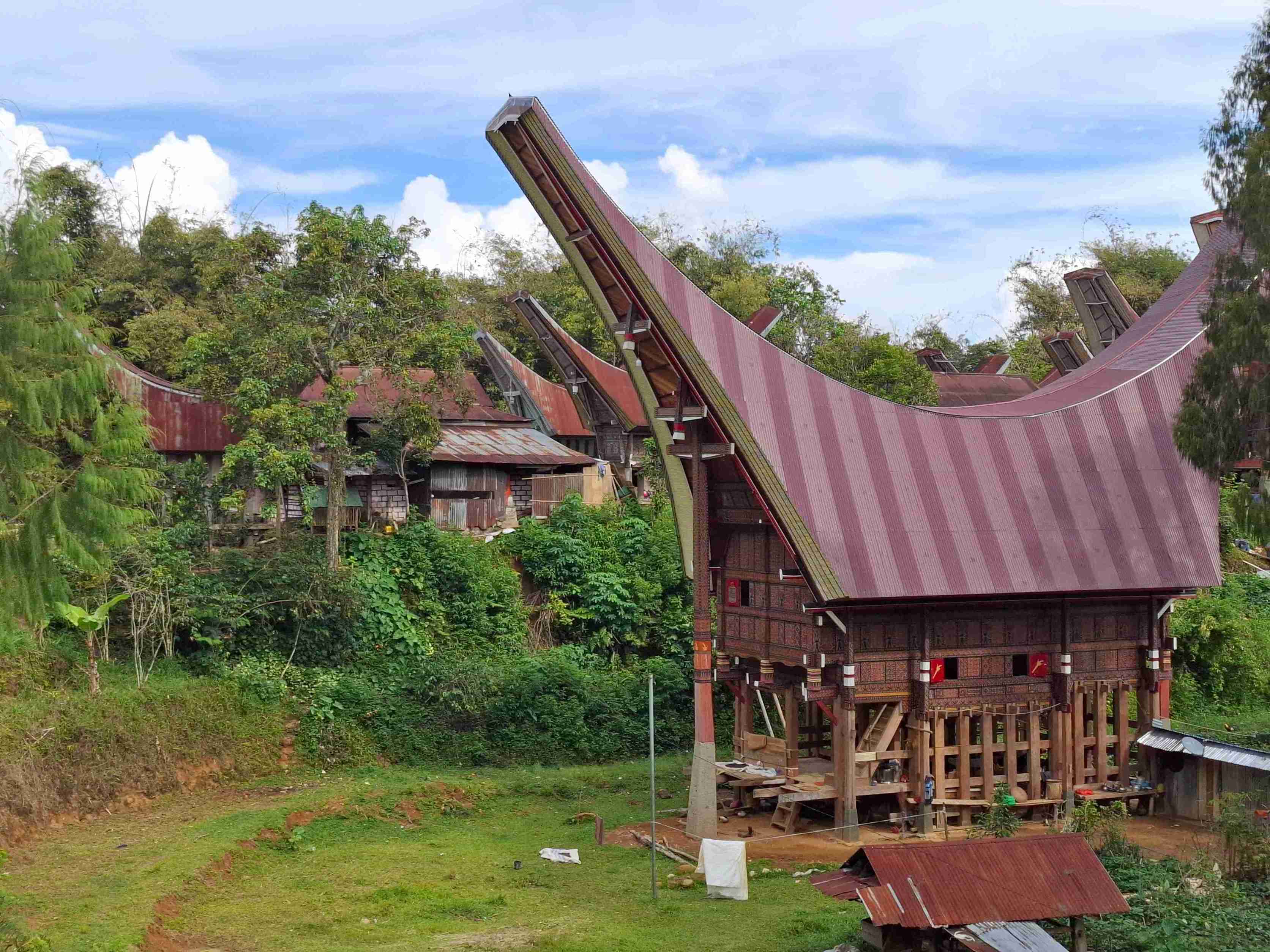 Sfeerafbeelding indonesie-centraal-sulawesi-tana-toraja-tongkonan-lokaal-dorp