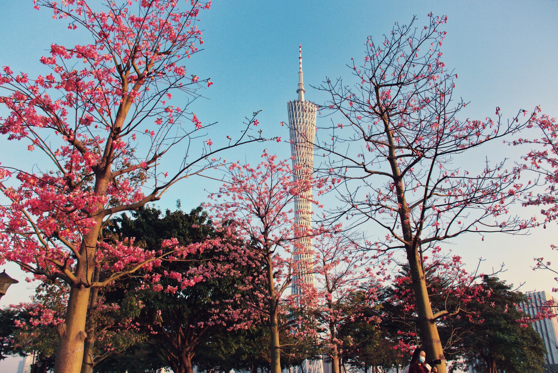 Sfeerafbeelding Guangzhou Canton Tower China Dimsum