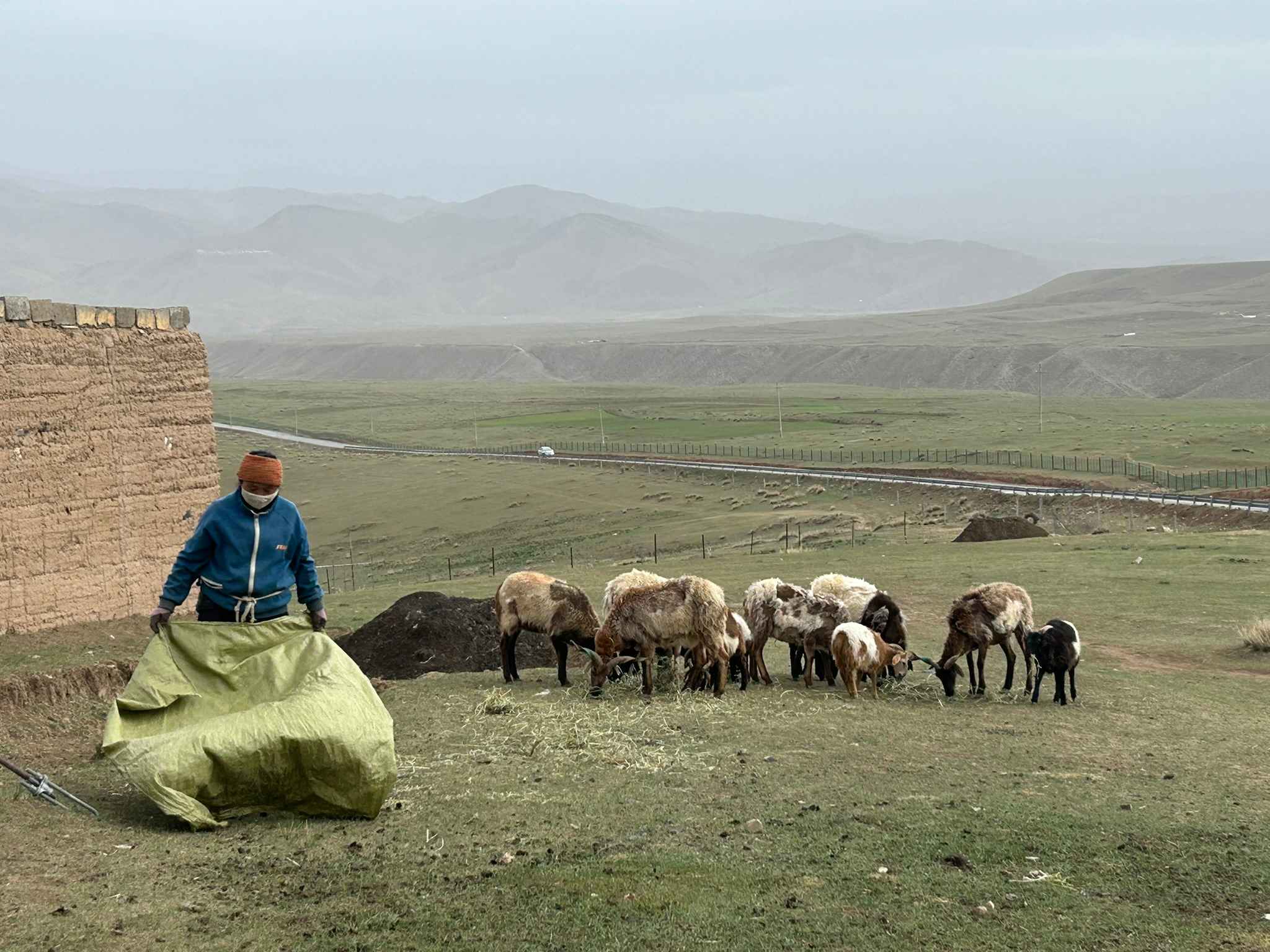 Sfeerafbeelding Xiahe langmusi Gansu