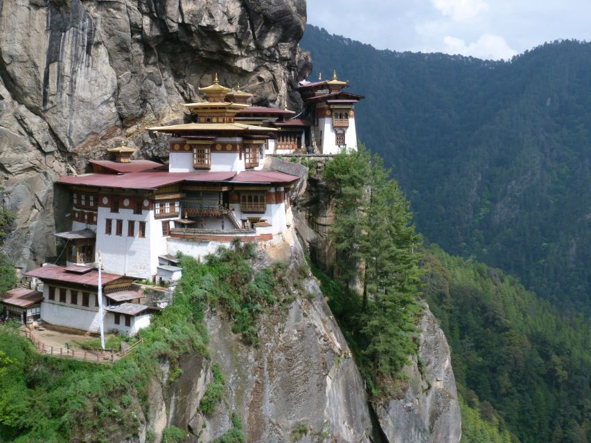 Sfeerafbeelding tigers nest