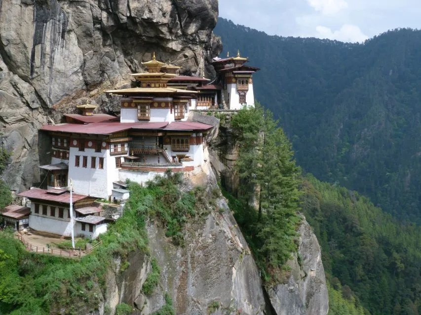 Sfeerafbeelding tigers nest