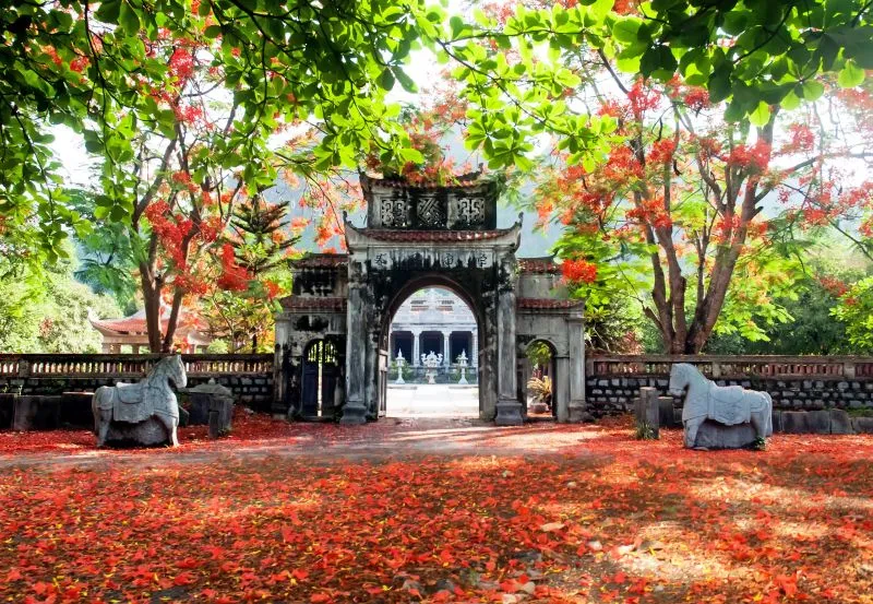 nxAyOVWMoAu8KdH34mAk0rZOBJLXe88SObruyIaF